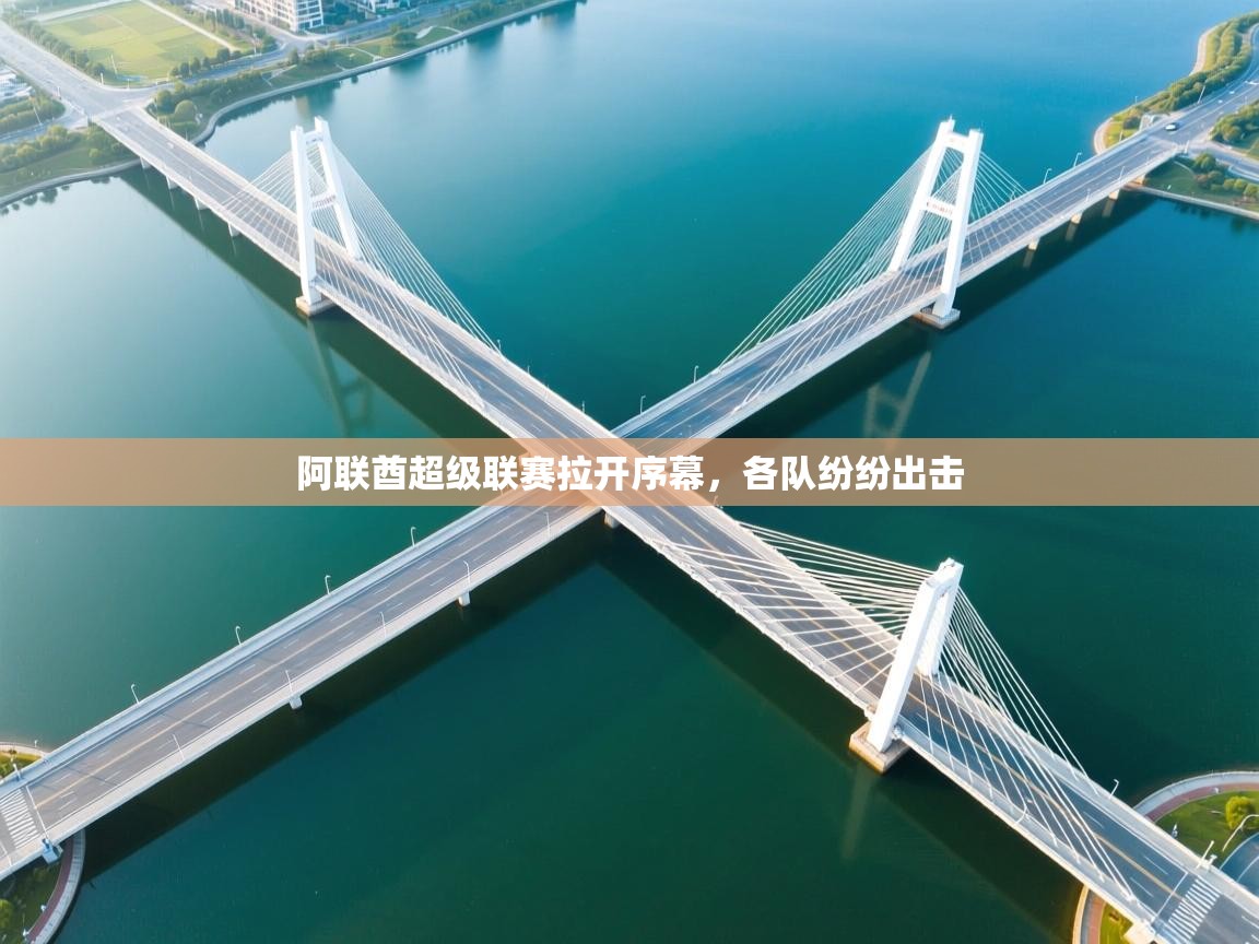 阿联酋超级联赛拉开序幕，各队纷纷出击  第1张