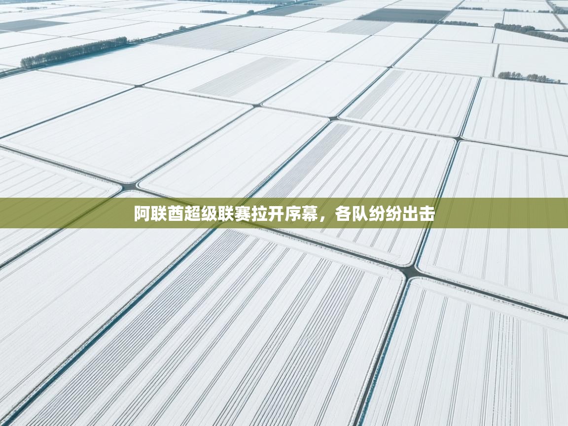 阿联酋超级联赛拉开序幕，各队纷纷出击  第2张