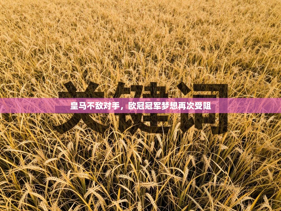 皇马不敌对手,欧冠冠军梦想再次受阻 第1张