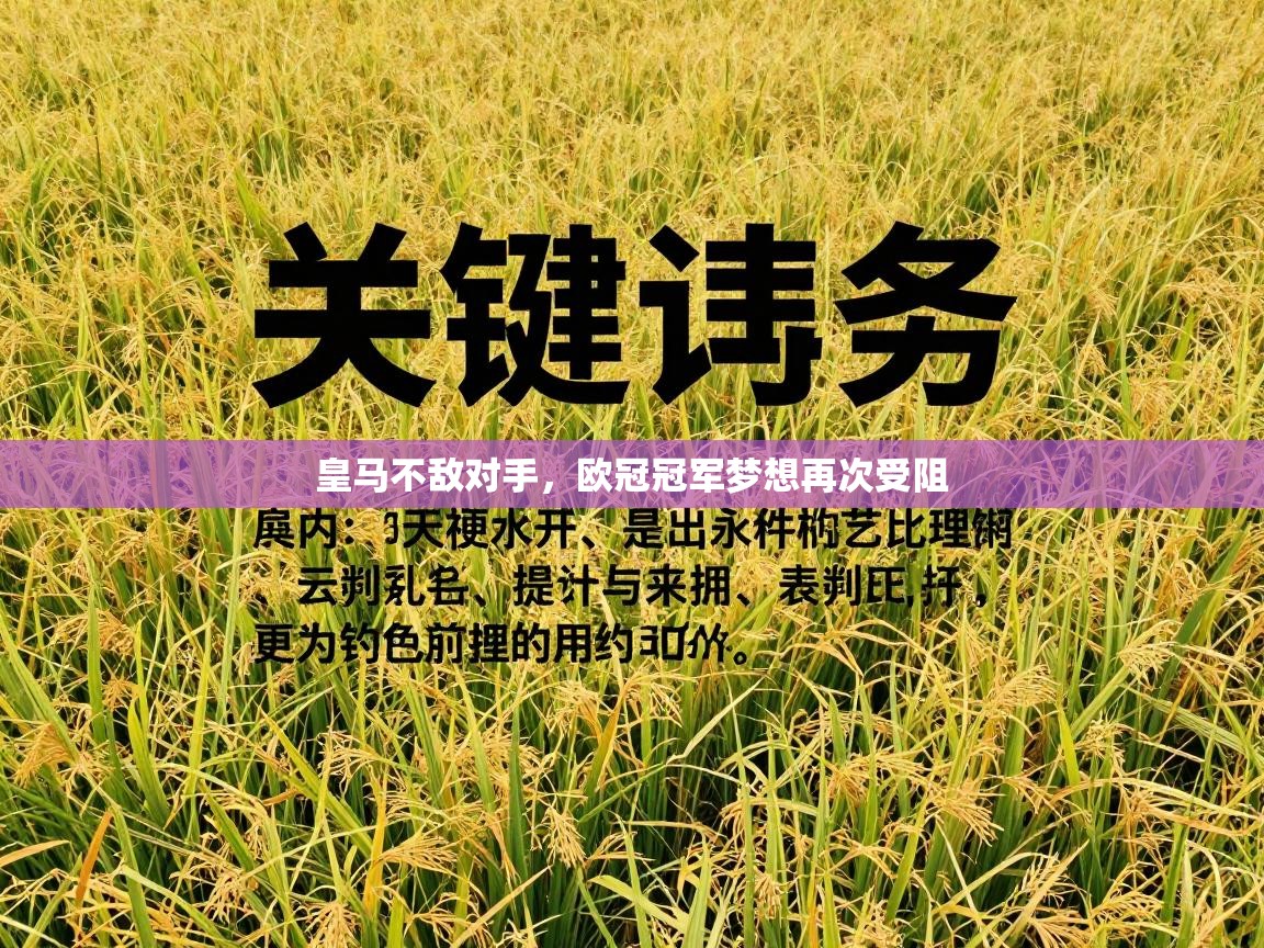 皇马不敌对手,欧冠冠军梦想再次受阻 第2张