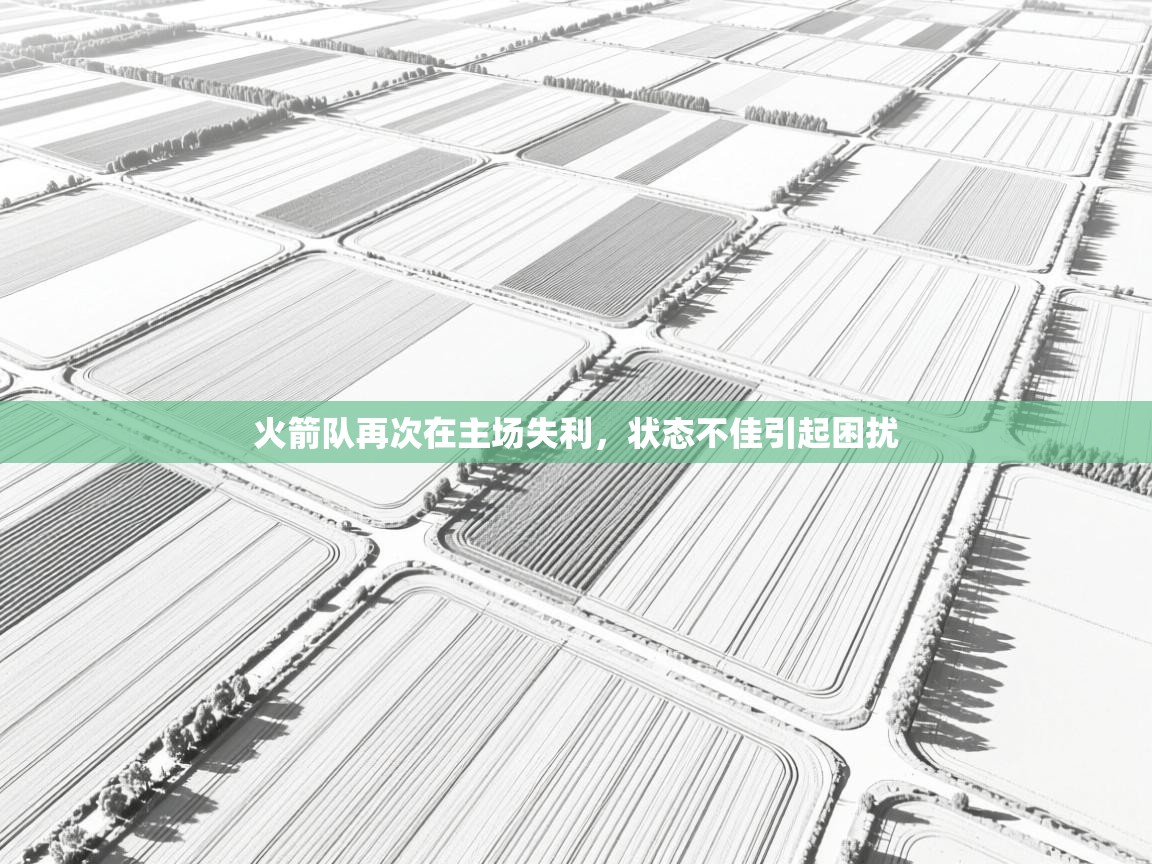 火箭队再次在主场失利,状态不佳引起困扰 第2张