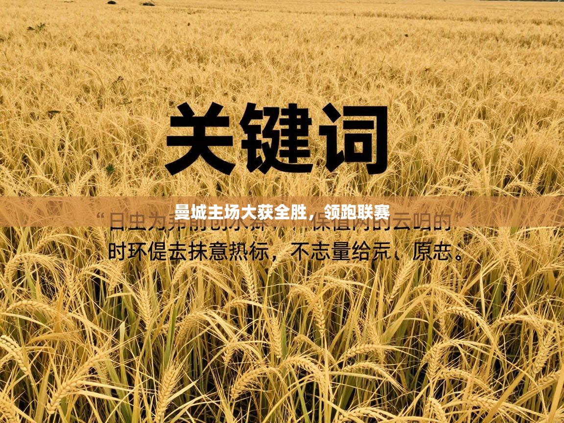 曼城主场大获全胜,领跑联赛 第2张