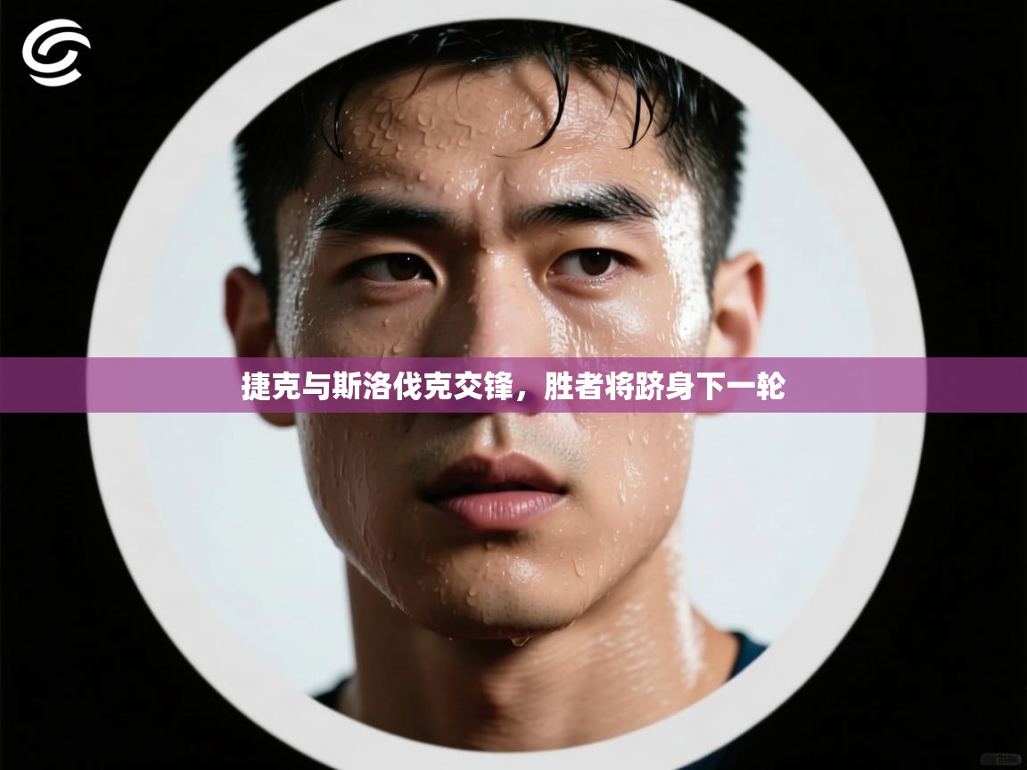 捷克与斯洛伐克交锋,胜者将跻身下一轮 第2张