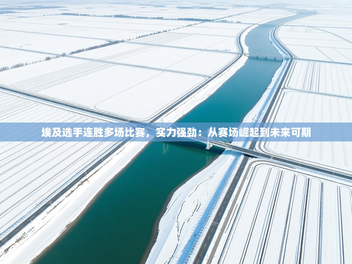 埃及选手连胜多场比赛,实力强劲:从赛场崛起到未来可期 第2张