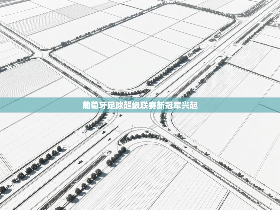 葡萄牙足球超级联赛新冠军兴起 第1张